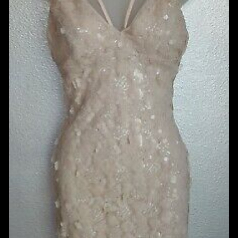 Blush/ taupe sequin F21 bodycon dress